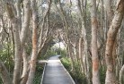 Beaconsfield VIClandscape-structures-1.jpg; ?>